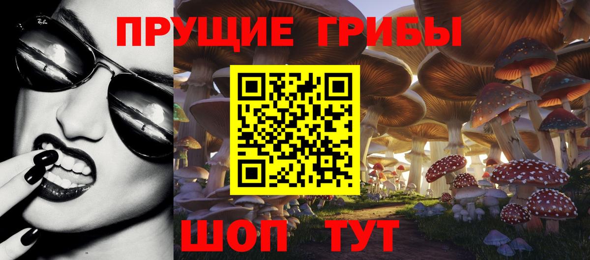 Междуреченск  Псилоцибиновые грибы прущие грибы  Вход с VPN 