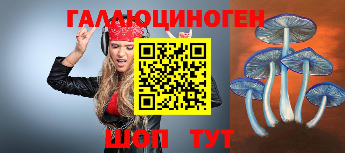 Галлюциногенные грибы мухоморы Междуреченск